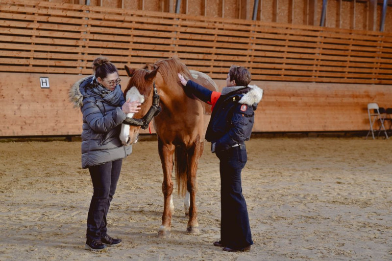 La-Chaise-Baudouin-Equi-Coaching4