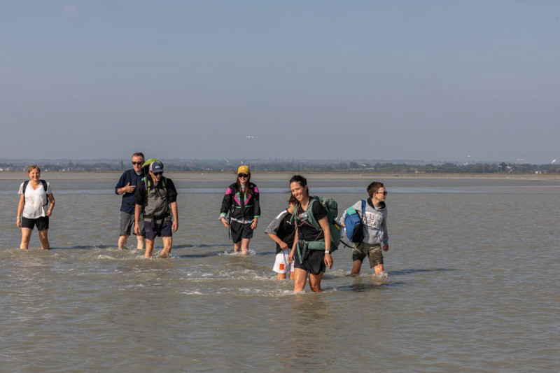 MSM-Ana-Maria3 MSM-Ana-Maria3