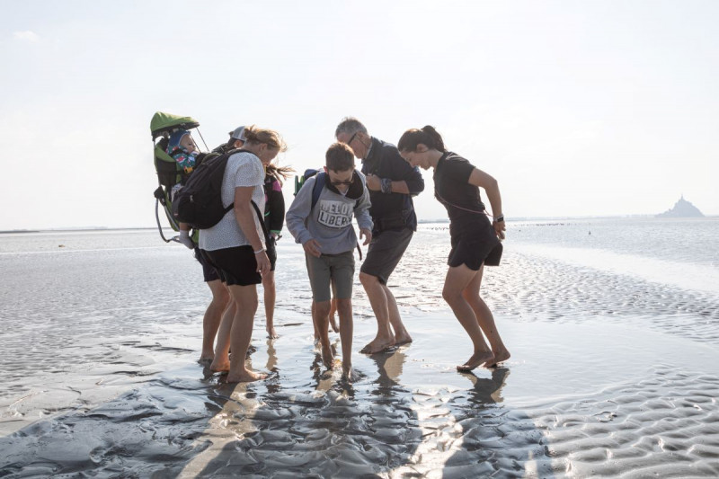 MSM-Ana-Maria4 MSM-Ana-Maria4