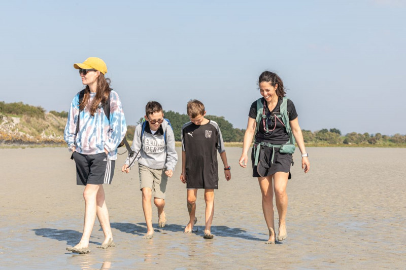 MSM-Ana-Maria5 MSM-Ana-Maria5