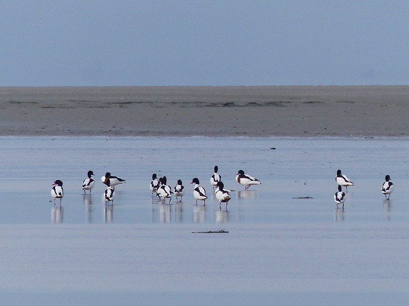 celine-lelandais-guide-de-la-baie-1