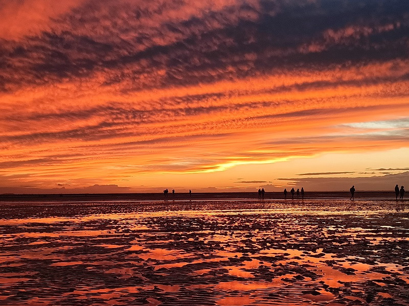 julian-paniagua-guide-de-la-baie-6 julian-paniagua-guide-de-la-baie-6