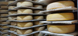 2-affinage-des-fromages-au-lait-cru-cr-dit-photo-la-ferme-des-cara-meuh-333071