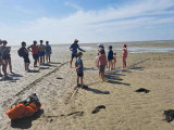 Guide traversée visite baie Mont Saint Michel guillaume sable mouvant sortie enfant pédagogique ludique