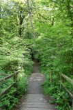 img-1-239423