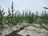 img-1162-763093