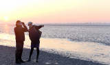 img-2445-761568