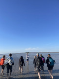 img-2447-763395