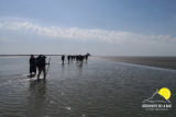 img-760452