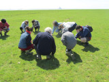 img-9416-r-solution-de-l-cran-763092