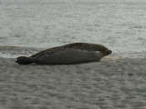 img-sorties-nature-763590