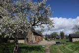 mus-e-du-poir-437233
