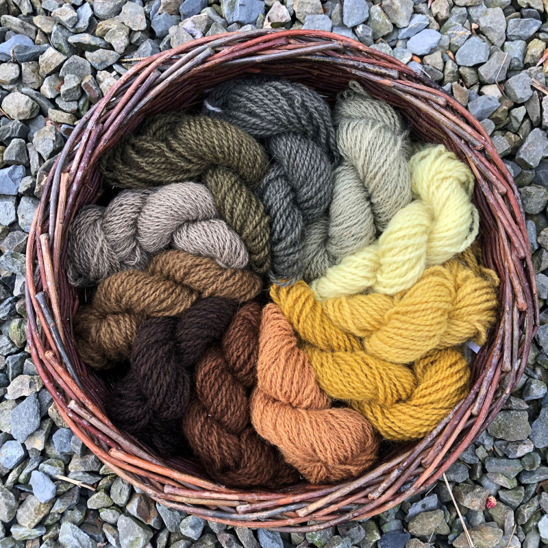 15-photos-ateliers-couleurs-sauvages-2-catherine-flood-1-764493