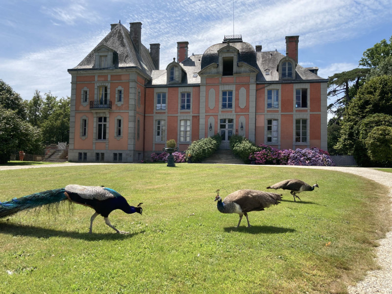 17-chantore-alain-gilles-chaussat-764495