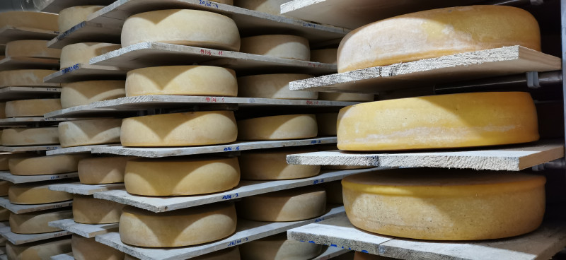 2-affinage-des-fromages-au-lait-cru-cr-dit-photo-la-ferme-des-cara-meuh-333076