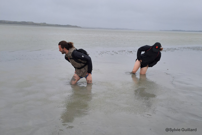 20250716-160349-768349