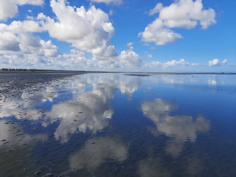 20250905-122634-768547