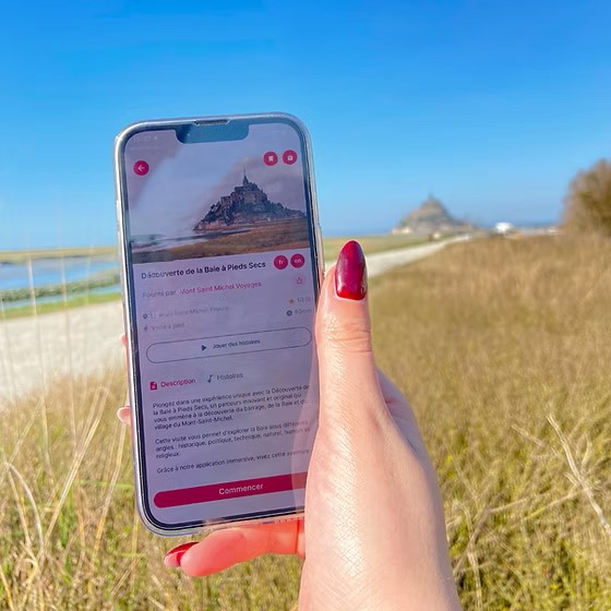 2b97dd-e0d624d9715e4dd3892191bfd696e171-mv2-768675