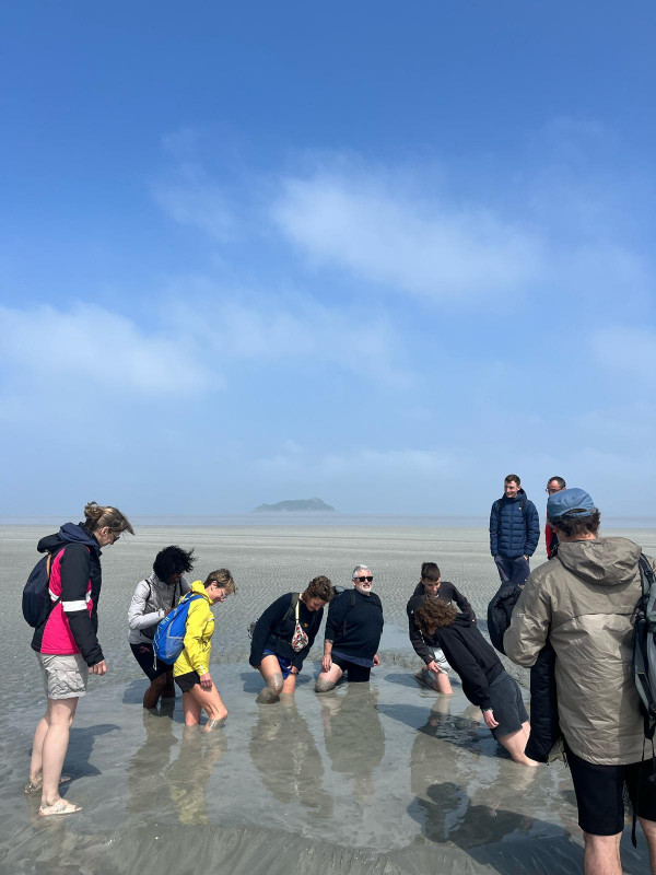 768658fa-99b5-40b1-9911-3f521d37de03-768660