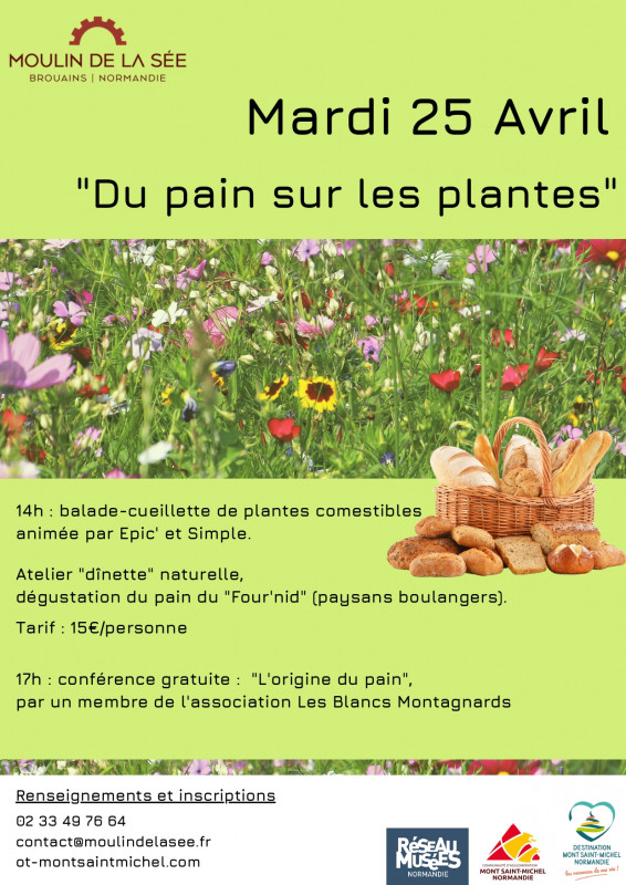 affiche-du-pain-sur-les-plantes-399439