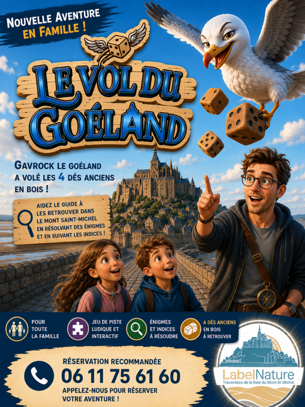 affiche-le-vol-du-goe-land-768800