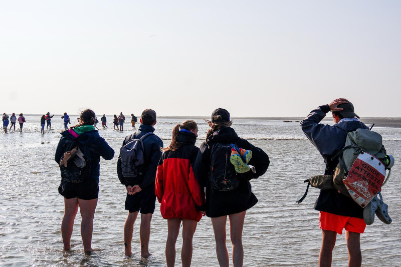 c2abd422-3101-4e9f-b73c-1426bcc507b5-768648 c2abd422-3101-4e9f-b73c-1426bcc507b5-768648