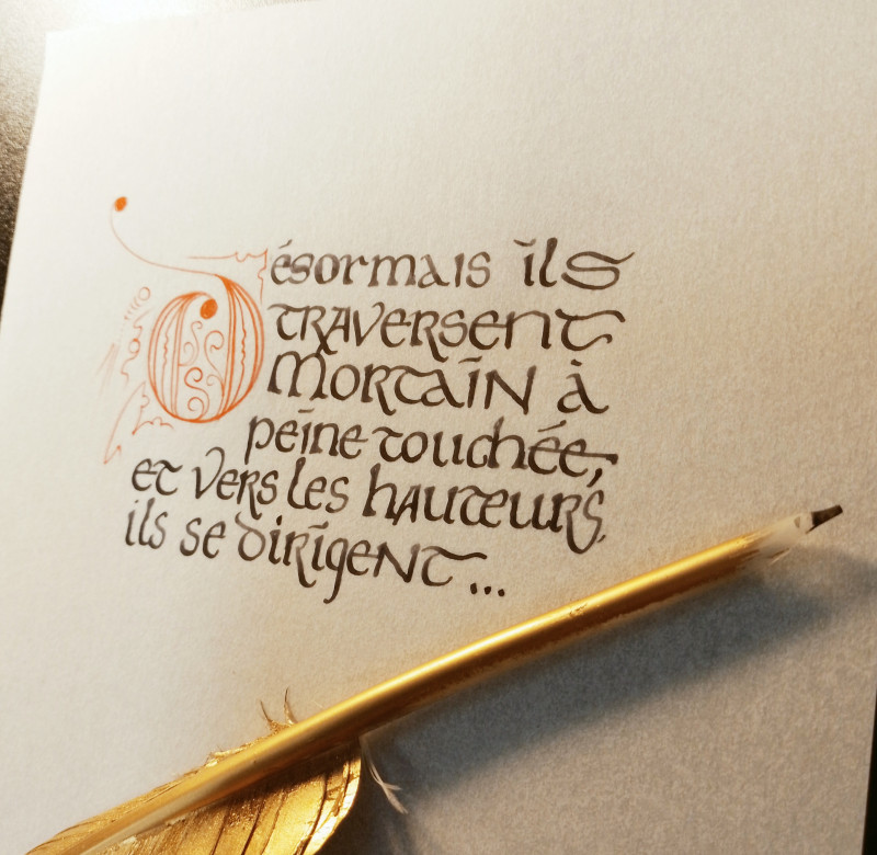 caligraphie-764544