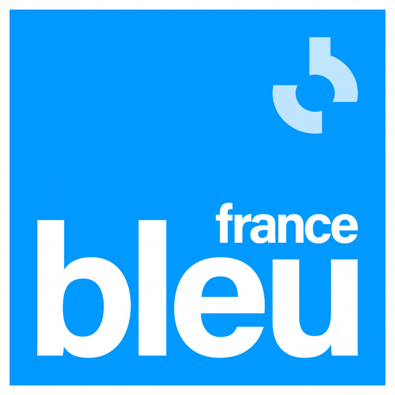 chaine-radio-france-cmjn-france-bleu-couleurs-avec-filet-hd-389234