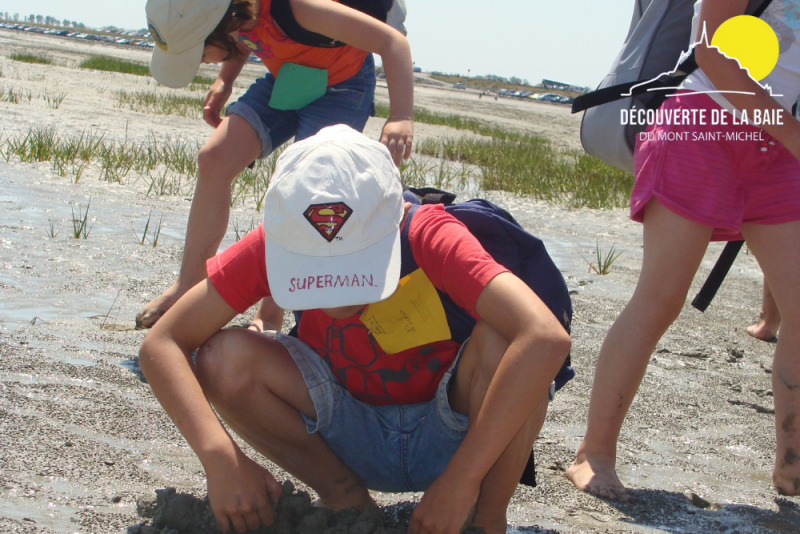 decouverte baie activite enfants guide genets - © ©Decouverte de la baie decouverte baie enfants guide genets