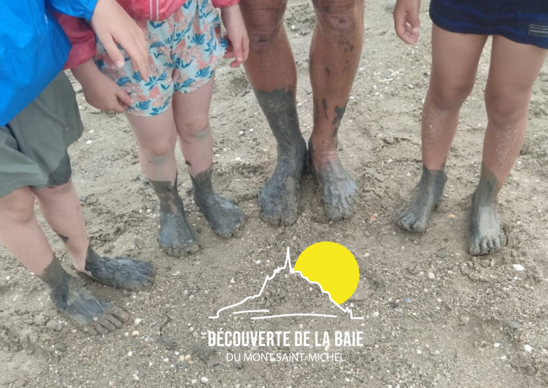 decouverte baie petits pieds Bec d Andaine activite enfants - © ©Decouverte de la baie decouverte baie activite enfants genets