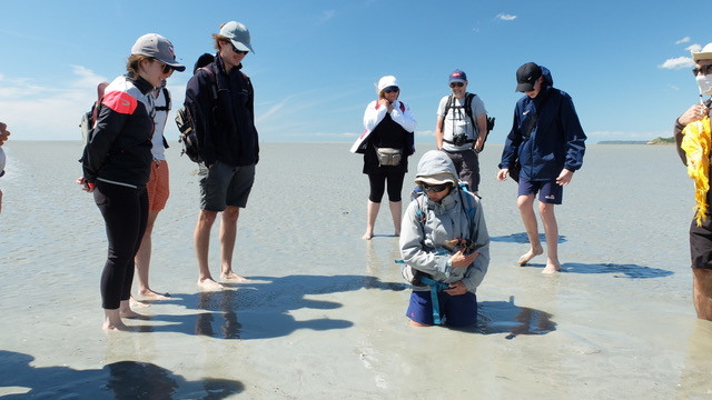 dscf4071-768407 dscf4071-768407