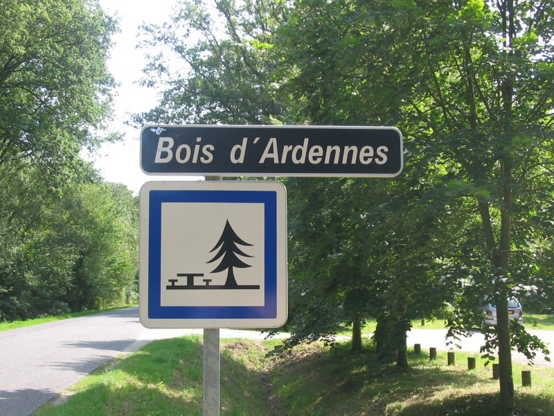 ducey-bois-d-ardennes-164