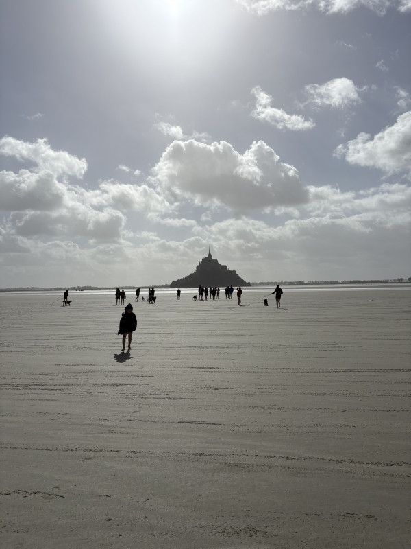 img-0018-768656 img-0018-768656