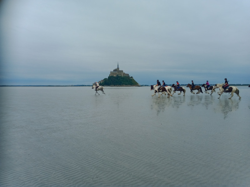 img-20240726-163439340-768441