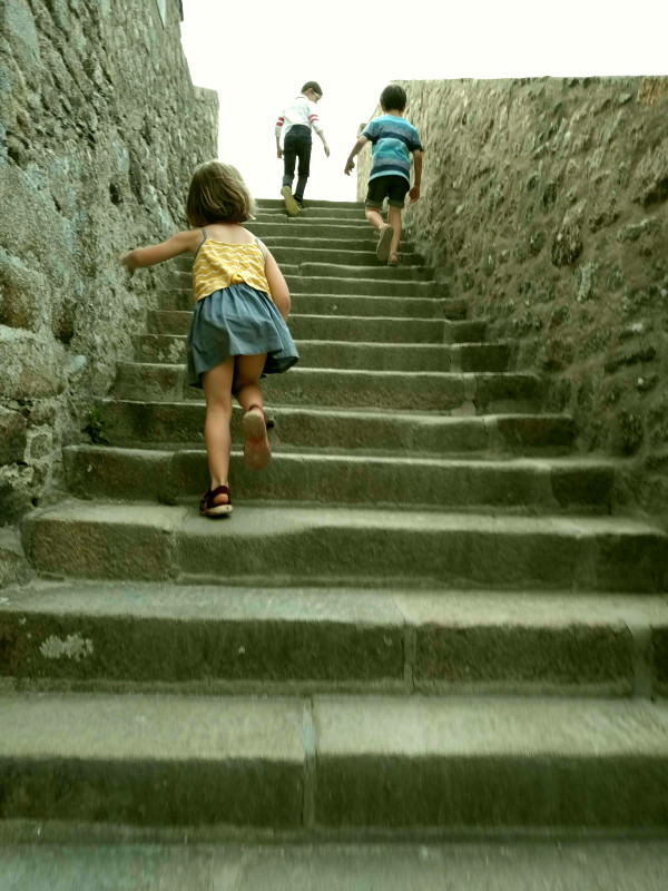 l-assaut-du-msm-768377 l-assaut-du-msm-768377