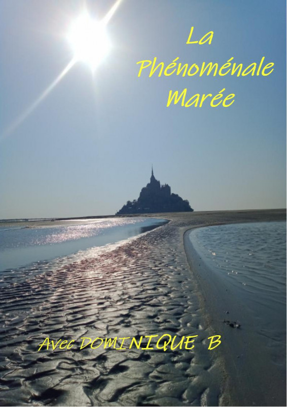 la-ph-nom-nale-mar-e-768694 la-ph-nom-nale-mar-e-768694