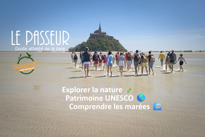 le-passeur-image-qualinat-bec-768614