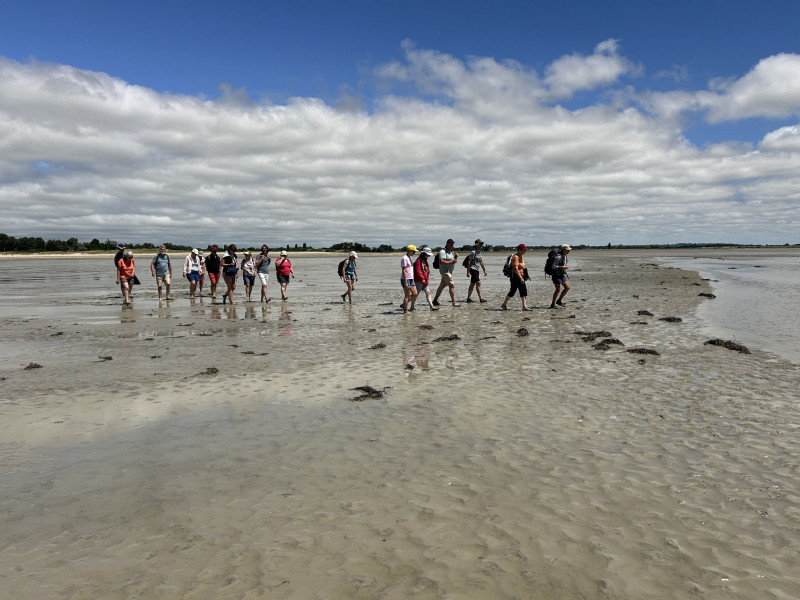 passagedetangue-768362 passagedetangue-768362