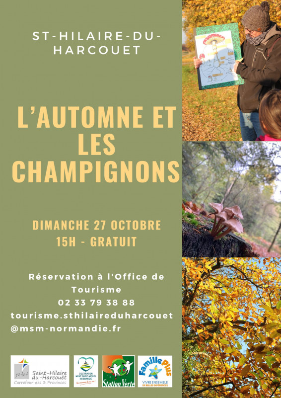 sortie-champignon-678575