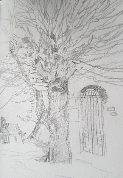 thumbnail-dessine-ton-patrimoine-c-goldsmith-2-764543