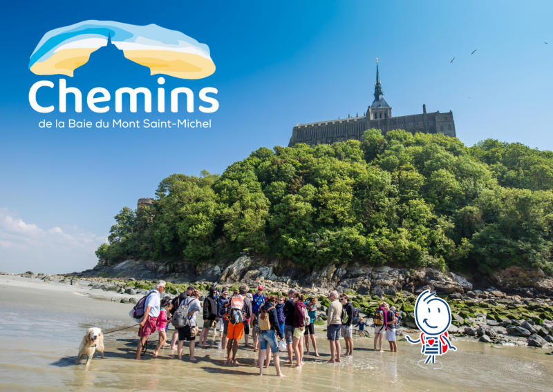 vignette-site-ot-2-768379