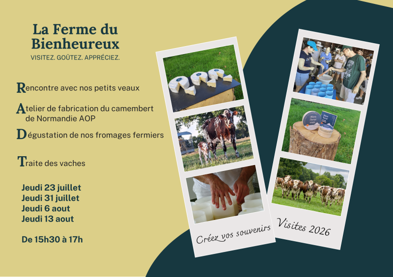 visites-2026-768848 visites-2026-768848